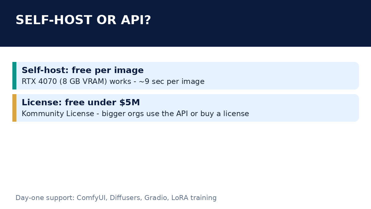 Slide 4: self-host vs API - free per image on your own GPU, free license under $5M revenue